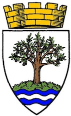 Arms Of Worcestershire